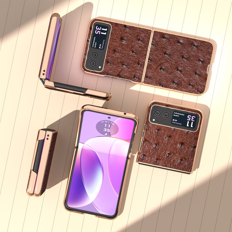 For Motorola Razr 40 Nano Plating Genuine Leather Ostrich Texture Phone Case(Coffee)