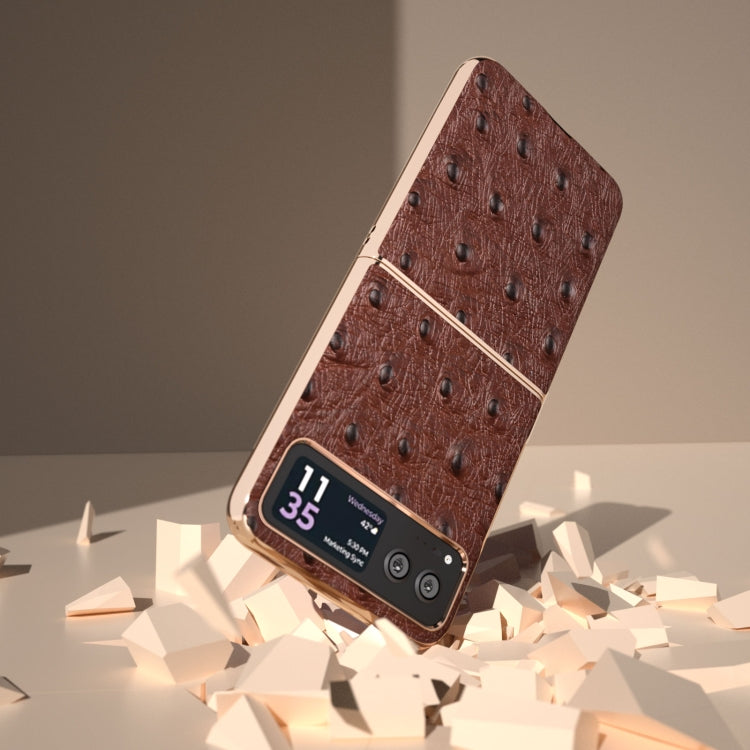 For Motorola Razr 40 Nano Plating Genuine Leather Ostrich Texture Phone Case(Coffee)
