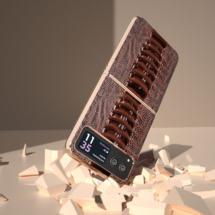 For Motorola Razr 40 Nano Plating Genuine Leather Weilai Series Phone Case(Coffee)