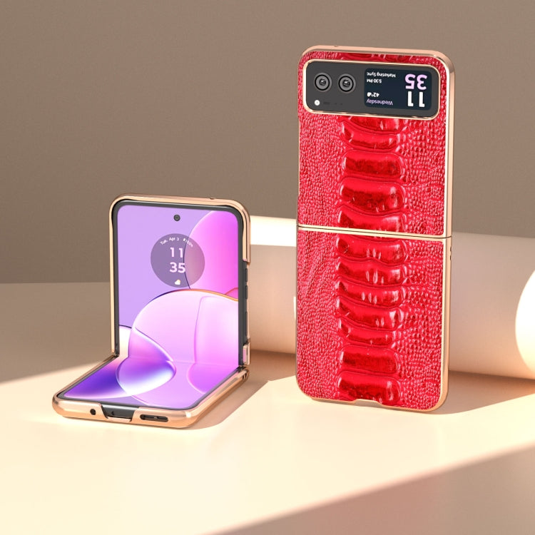 For Motorola Razr 40 Nano Plating Genuine Leather Weilai Series Phone Case(Red)