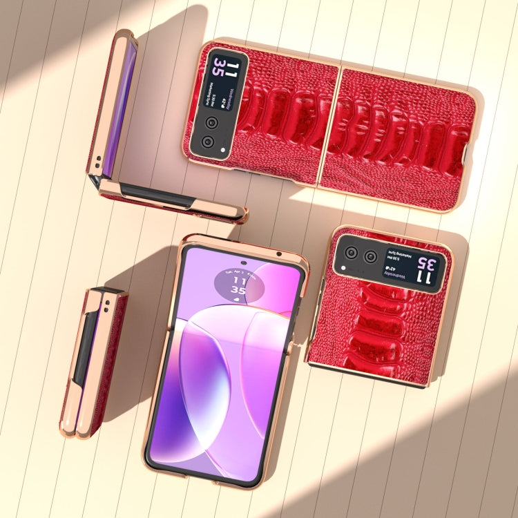 For Motorola Razr 40 Nano Plating Genuine Leather Weilai Series Phone Case(Red)