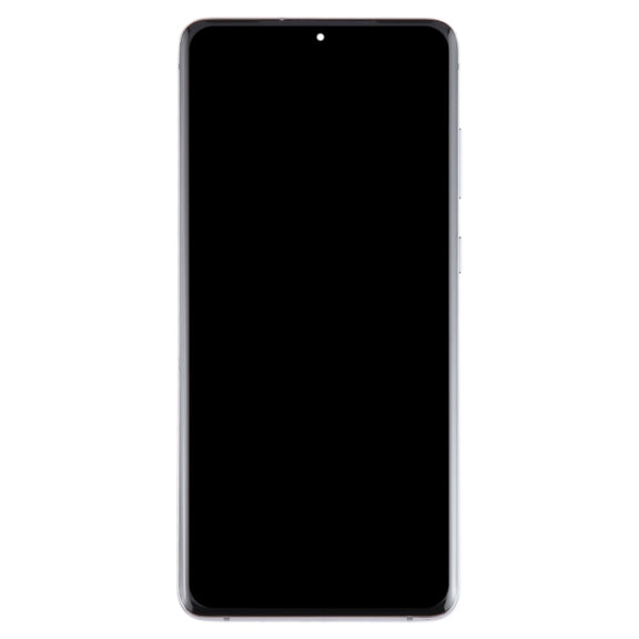 For Samsung Galaxy S20+ 4G/5G SM-G985/986 6.67 inch OLED LCD Screen Digitizer Full Assembly with Frame(Grey)