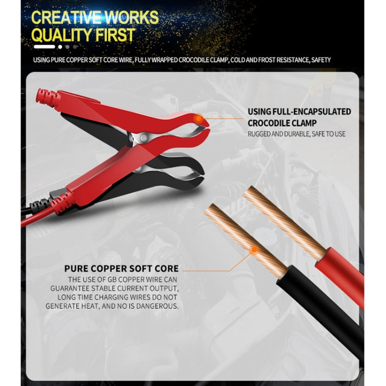 ANHTCzyx 12V 8A  / 24V 4A Automobile Battery Charger Motorcycle Battery Repair Type AGM(US Plug)
