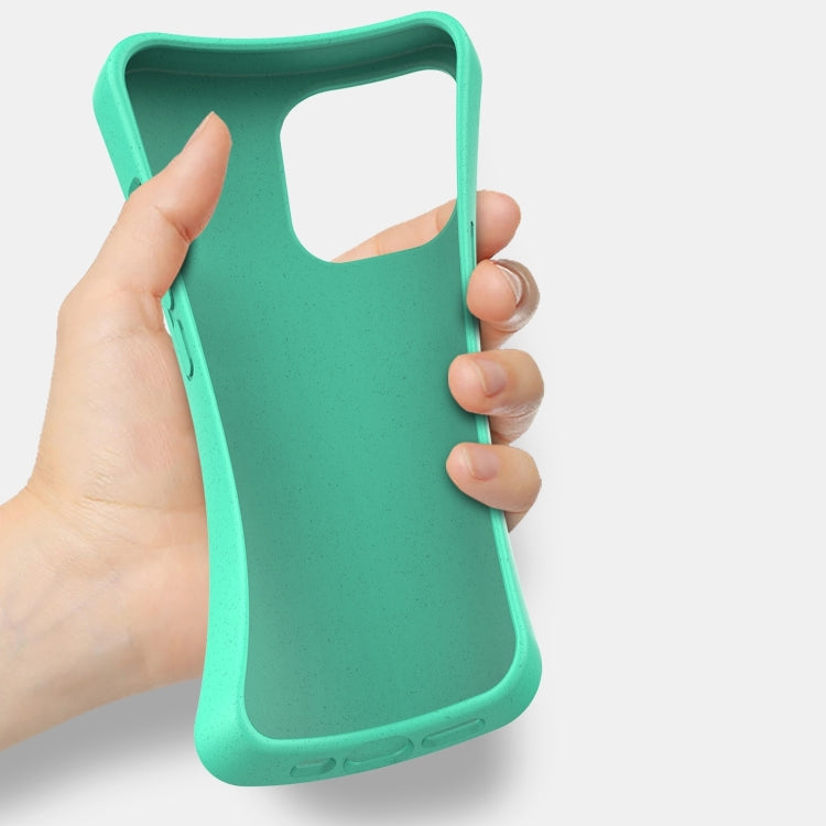 For iPhone 16 Pro Starry Series Shockproof Straw Material + TPU Protective Case(Army Green)
