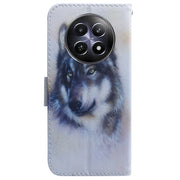For Realme 12 5G Coloured Drawing Flip Leather Phone Case(White Wolf)