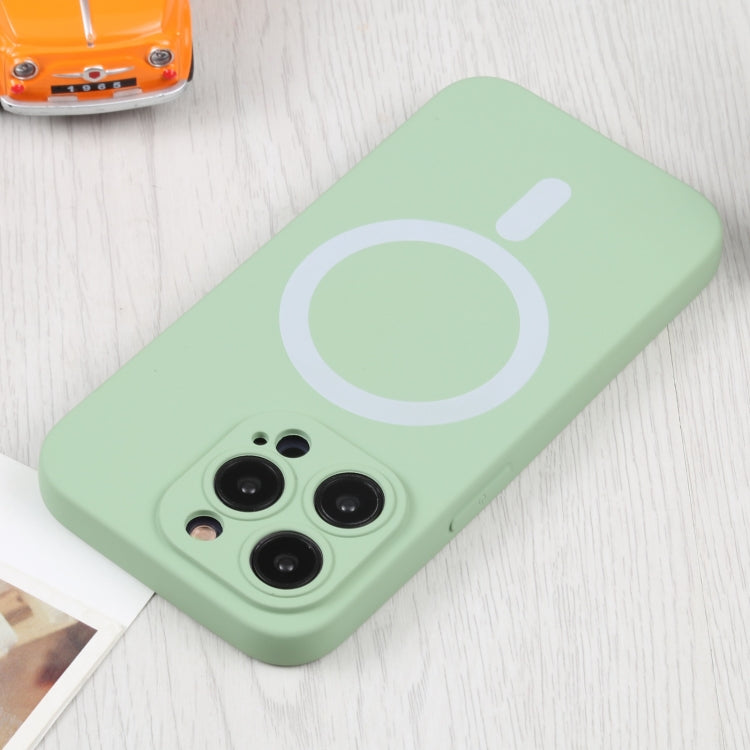 For iPhone 16 Pro Max Liquid Silicone Magsafe Phone Case(Green)