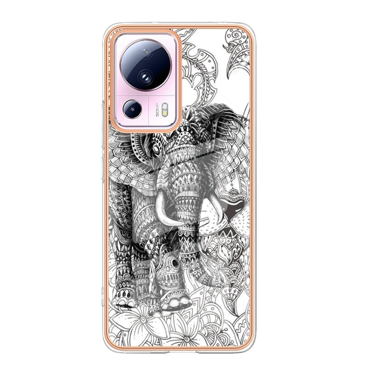 For Xiaomi 13 Lite 5G Electroplating Marble Dual-side IMD Phone Case(Totem Elephant)