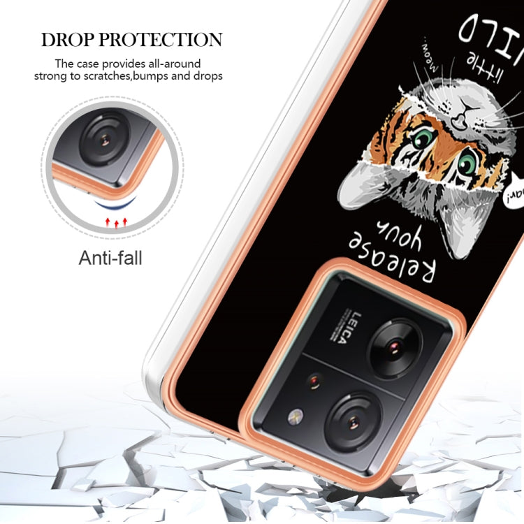 For Xiaomi 13T/13T Pro Electroplating Marble Dual-side IMD Phone Case(Natural Growth)