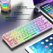XUNFOX K30 Pro 2.4G + BT + Wired Transparent 61-Keys Mechanical White Axis Keyboard(White)