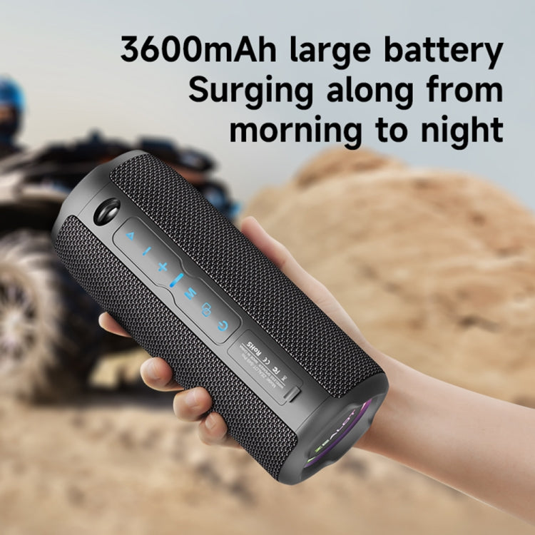 Zealot S49 Pro 20W Outdoor Portable Wireless Bluetooth Speaker with RGB Light(Black)