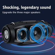 Zealot S67 60W High Power Portable Wireless Bluetooth Speaker(Black)