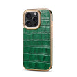 For iPhone 16 Pro Max Denior Crocodile Texture Genuine Leather Electroplating Phone Case(Green) - free shipping - PMC TechLife - Order now!