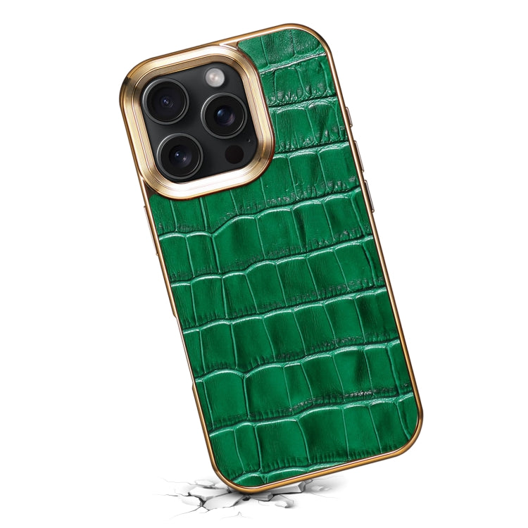 For iPhone 16 Pro Denior Crocodile Texture Genuine Leather Electroplating Phone Case(Green)