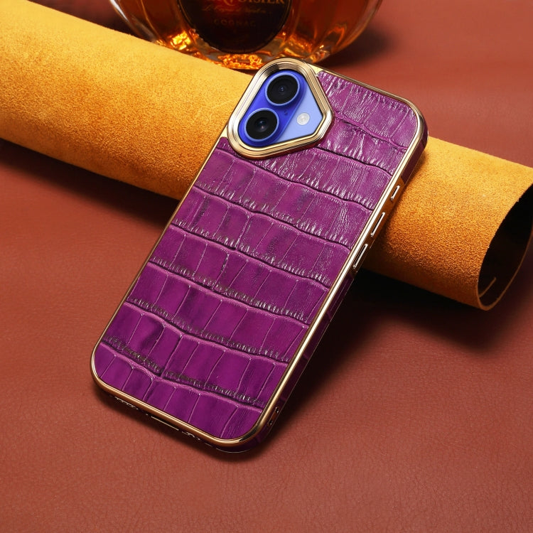 For iPhone 16 Plus Denior Crocodile Texture Genuine Leather Electroplating Phone Case(Purple)