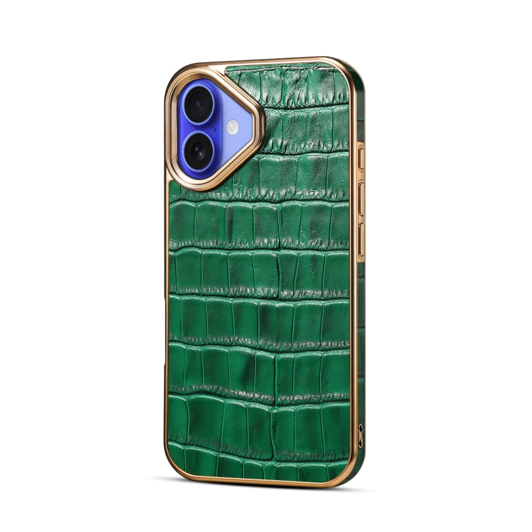 For iPhone 16 Plus Denior Crocodile Texture Genuine Leather Electroplating Phone Case(Green)