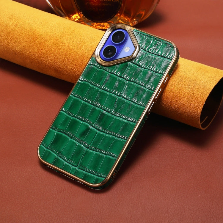 For iPhone 16 Plus Denior Crocodile Texture Genuine Leather Electroplating Phone Case(Green)
