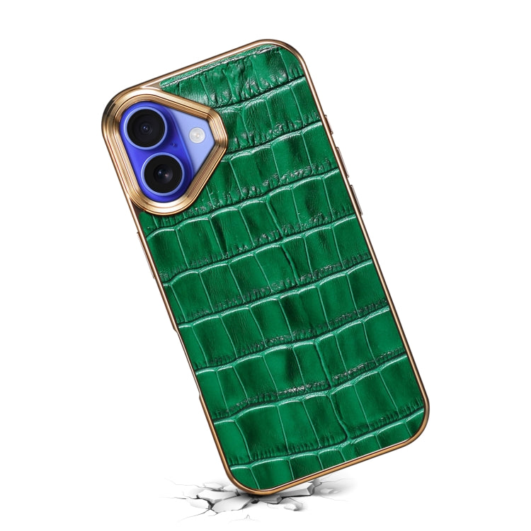 For iPhone 16 Plus Denior Crocodile Texture Genuine Leather Electroplating Phone Case(Green)