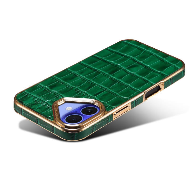 For iPhone 16 Denior Crocodile Texture Genuine Leather Electroplating Phone Case(Green)