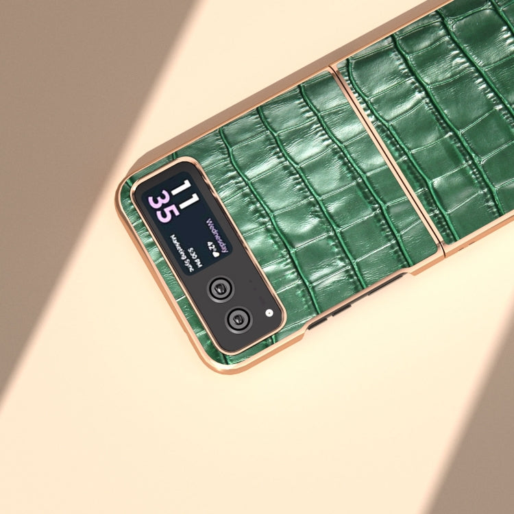 For Motorola Razr 40 Crocodile Texture Genuine Leather Electroplating Phone Case(Dark Green)