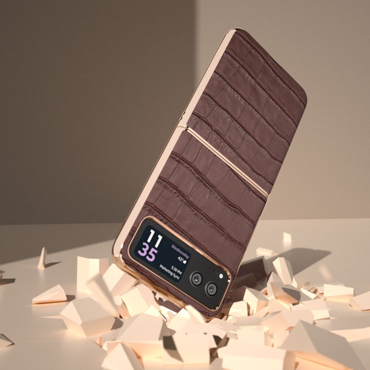 For Motorola Razr 40 Crocodile Texture Genuine Leather Electroplating Phone Case(Brown)