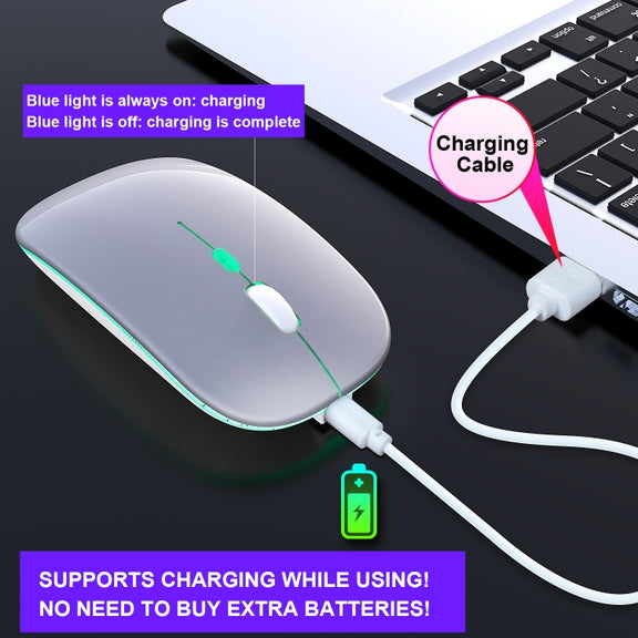 HXSJ M40 2.4GHZ 800,1200,1600dpi Third Gear Adjustment Colorful Wireless Mouse USB Rechargeable(Silver)