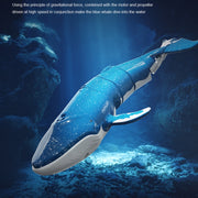LS-XDU/RC B4 Remote Control Whale Toy Can Dive And Spray Water(Royal Blue)