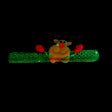 Santa Style Flash Light Merry Christmas Slap Pat Circle Wristband(Sequins Light Deer) - Christmas Wearable Decoration by PMC TechLife | Online Shopping South Africa | PMC TechLife | Buy Now Pay Later Mobicred