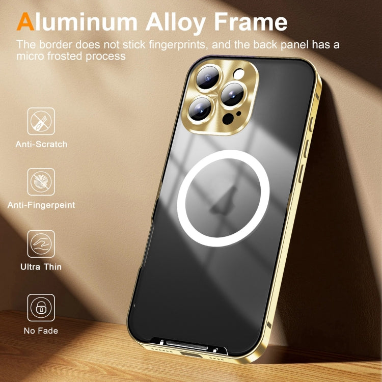 For iPhone 16 Pro Max Frosted Metal Phone Case(Gold)