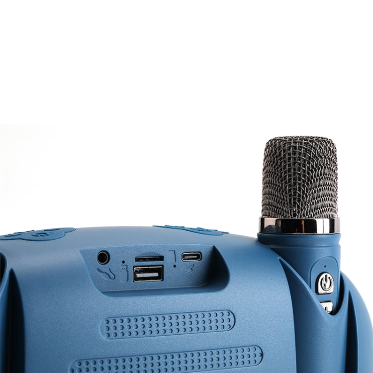 T&G TG542 LED Flash Wireless Bluetooth Karaoke Speaker with Microphone(Black)