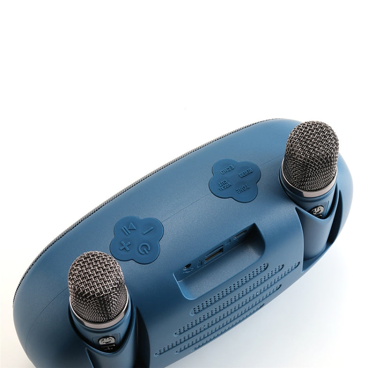 T&G TG542 LED Flash Wireless Bluetooth Karaoke Speaker with Microphone(Black)