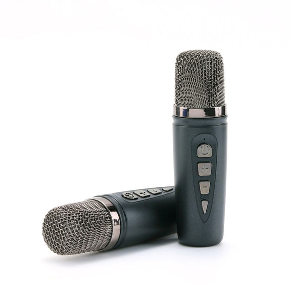 T&G TG543 Colorful Integrated Handheld Karaoke Wireless Bluetooth Speaker(Grey)