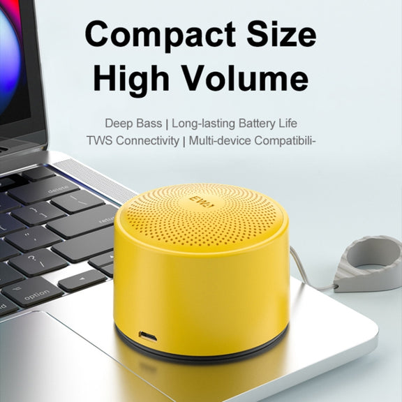 EWA A124 Portable Mini TWS Bluetooth Speaker Outdoor IPX5 Water-resistant Subwoofer(Black)