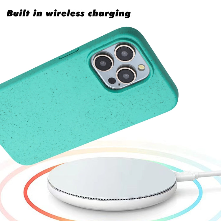 For iPhone 15 Pro Max Wheat MagSafe Magnetic Straw Material + TPU Phone Case(Green)