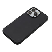 For iPhone 11 Pro Wheat MagSafe Magnetic Straw Material + TPU Phone Case(Black)