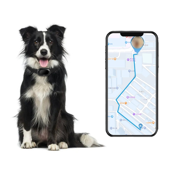 V41 Smart GPS Tracker IP67 Water-resistant Pet Anti-loss Positioner, Version:4G  Version-A for Europe Asia Africa Australia(Black)