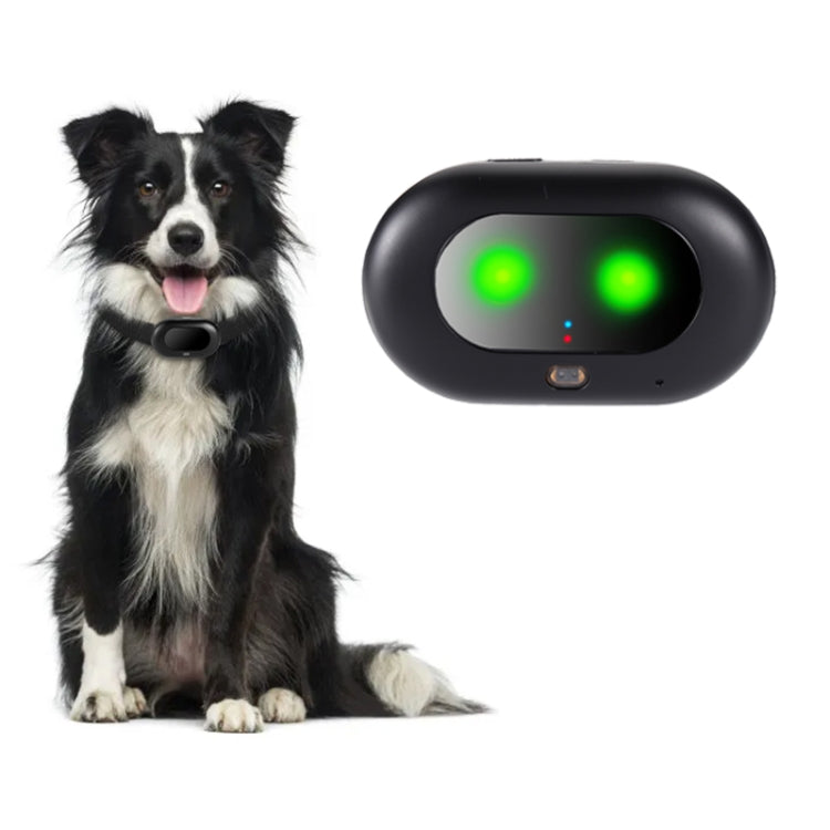 V41 Smart GPS Tracker IP67 Water-resistant Pet Anti-loss Positioner, Version:4G Version-B for North & South America(Black)