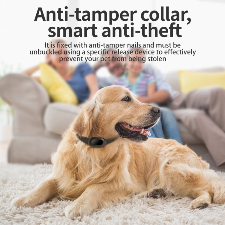 V41 Smart GPS Tracker IP67 Water-resistant Pet Anti-loss Positioner, Version:4G Version-B for North & South America(Black)