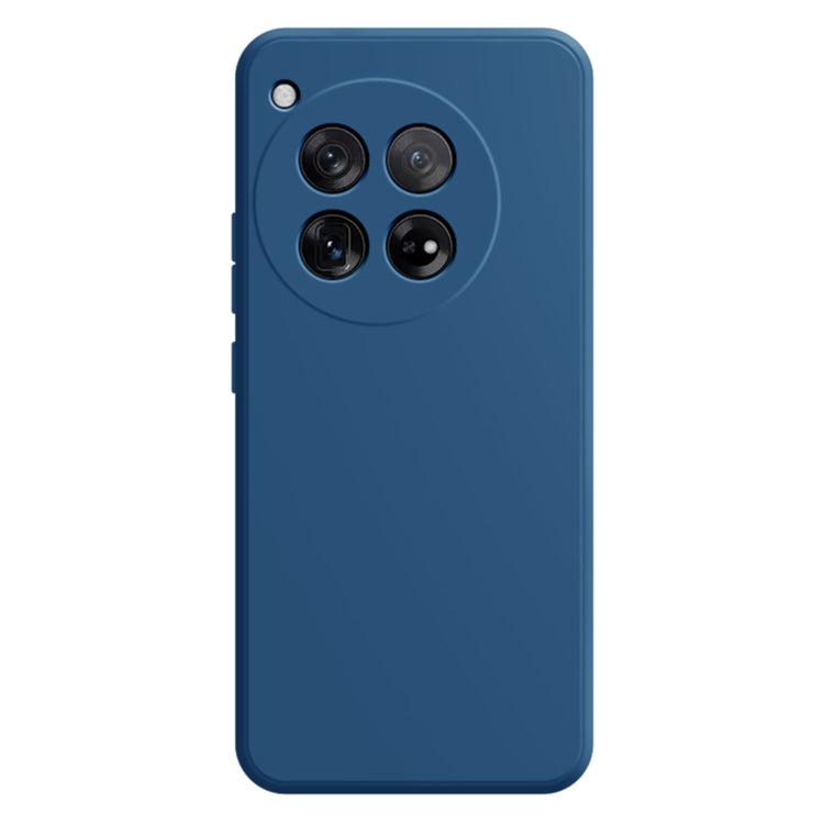 For OnePlus 12 Imitation Liquid Silicone Phone Case(Blue)