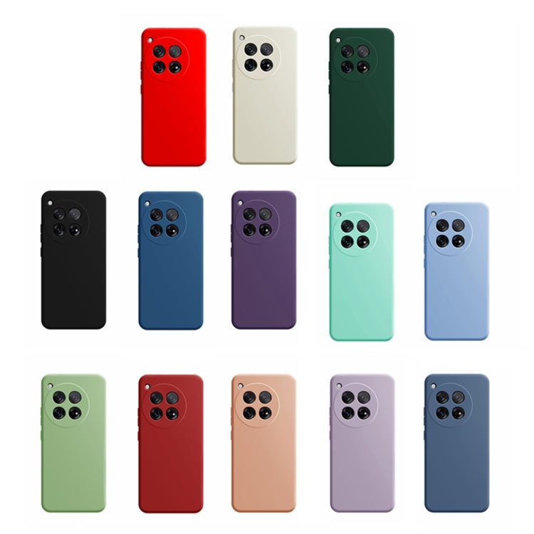 For OnePlus 12 Imitation Liquid Silicone Phone Case(Blue)