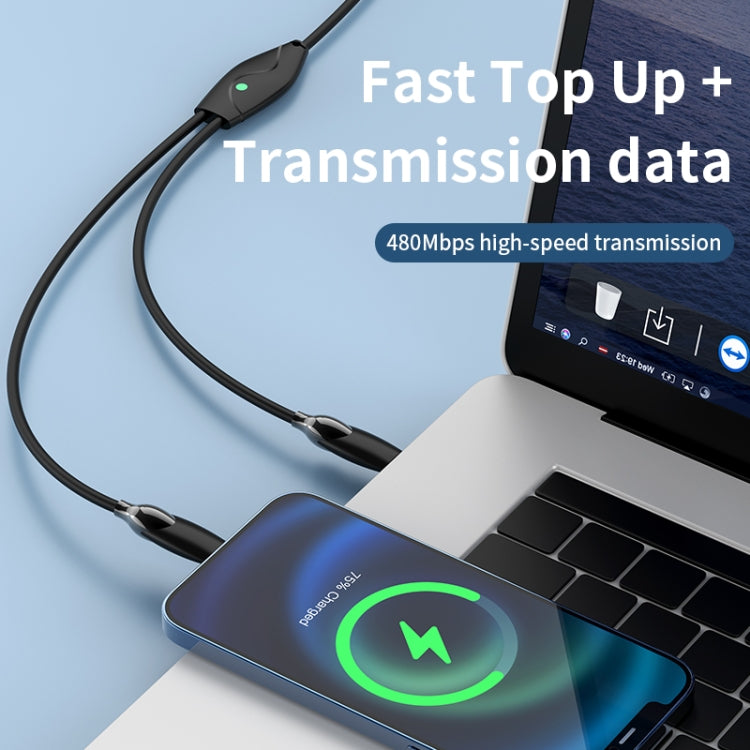 1.2m 100W USB-C / Type-C to USB-C / Type-C + 8 Pin Fast Charging Data Cable(Black)