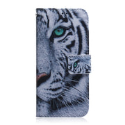 For Google Pixel 9 Pro Coloured Drawing Flip Leather Phone Case(Tiger)