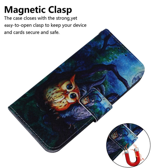 For Google Pixel 9 Coloured Drawing Flip Leather Phone Case(Oil Painting Owl)