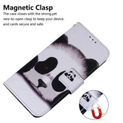 For Google Pixel 9 Coloured Drawing Flip Leather Phone Case(Panda)