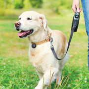 Global Positioning Pet Key Circular Anti-Lost Device Locator(Black)
