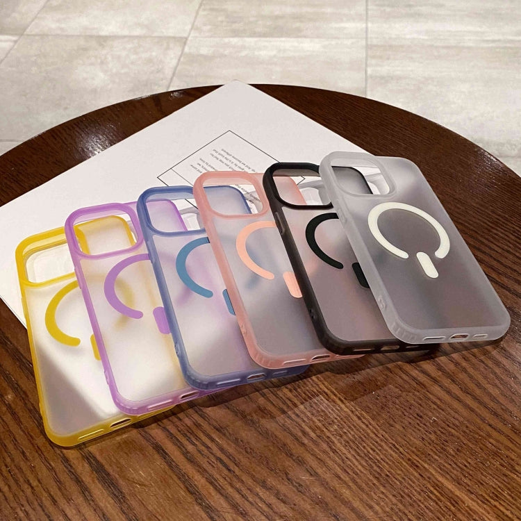 For iPhone 16 Dual-Side Frosted MagSafe Clear Phone Case(Blue)