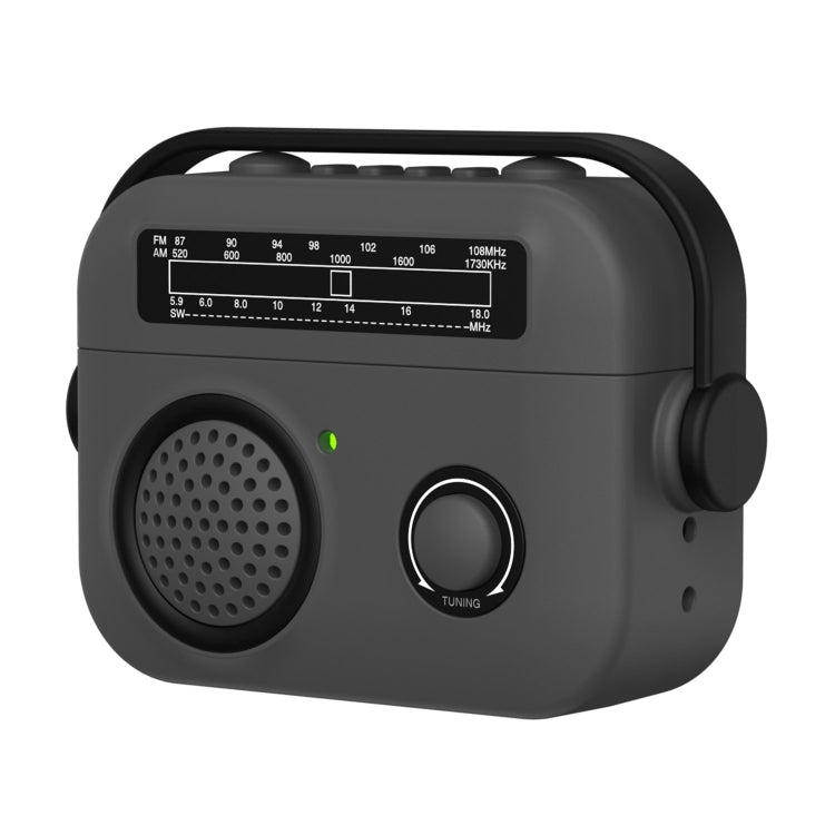 For AirPods Pro 2 Radio Style Wireless Bluetooth Earphones Shockproof Protective Case(Dark Grey)