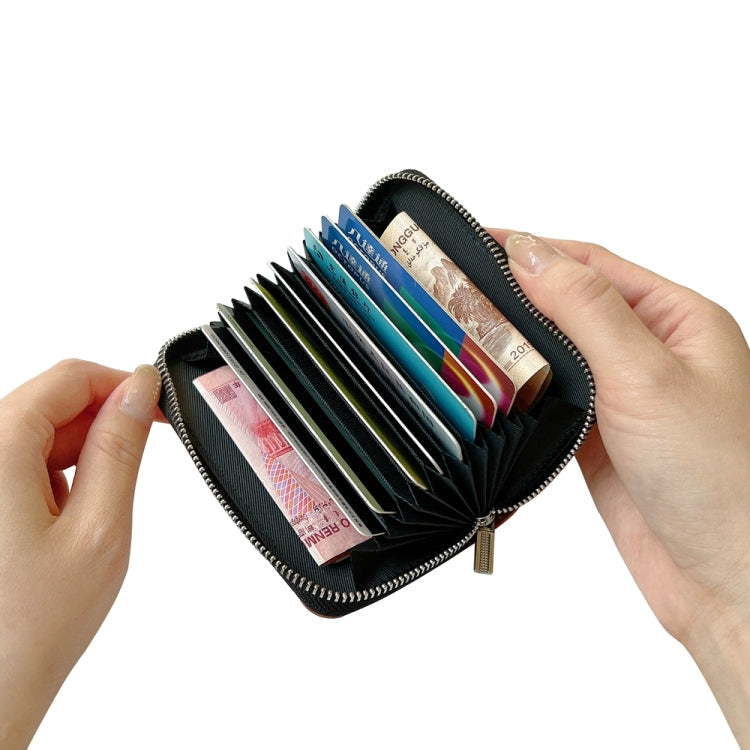 For iPhone 16 Pro Max Solid Color Zipper 11-Card Slots Bag Phone Case with Lanyard(Brown)
