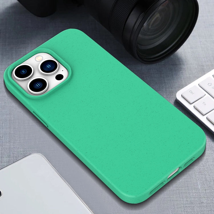 For iPhone 16 Wheat Straw TPU Phone Case(Yellow)