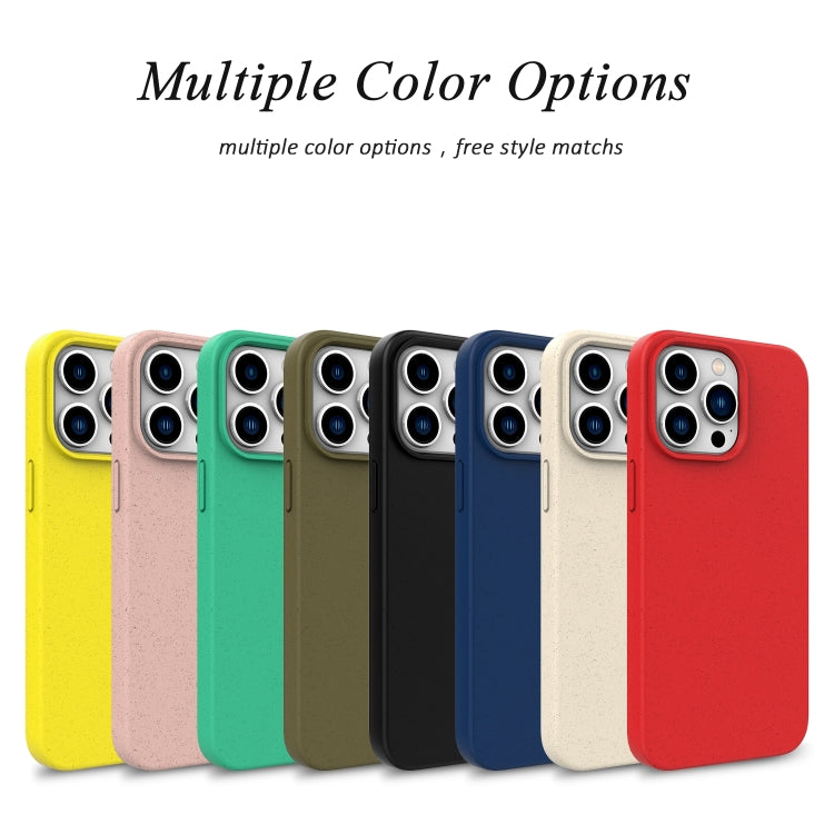 For iPhone 16 Wheat Straw TPU Phone Case(Army Green)