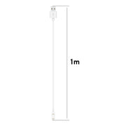 For Huawei Band 10 / 9 / Honor ROSSINI 2i USB-A Port Smart Watch Charging Cable(White)